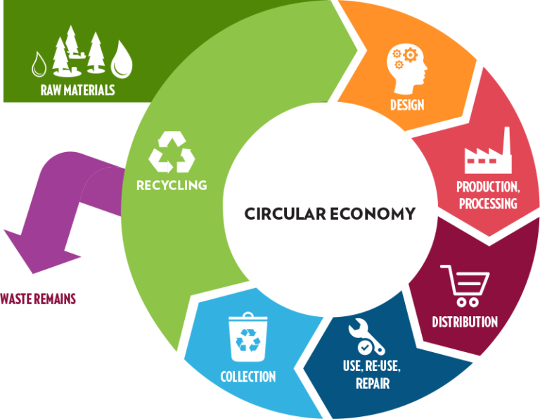 Circular Economy: A Challenge for the Textile Industry